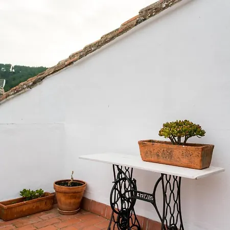 Antigua Panaderia De Country house